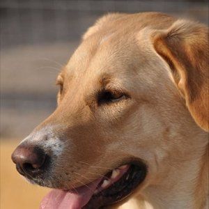 Meet your Posher, Brie